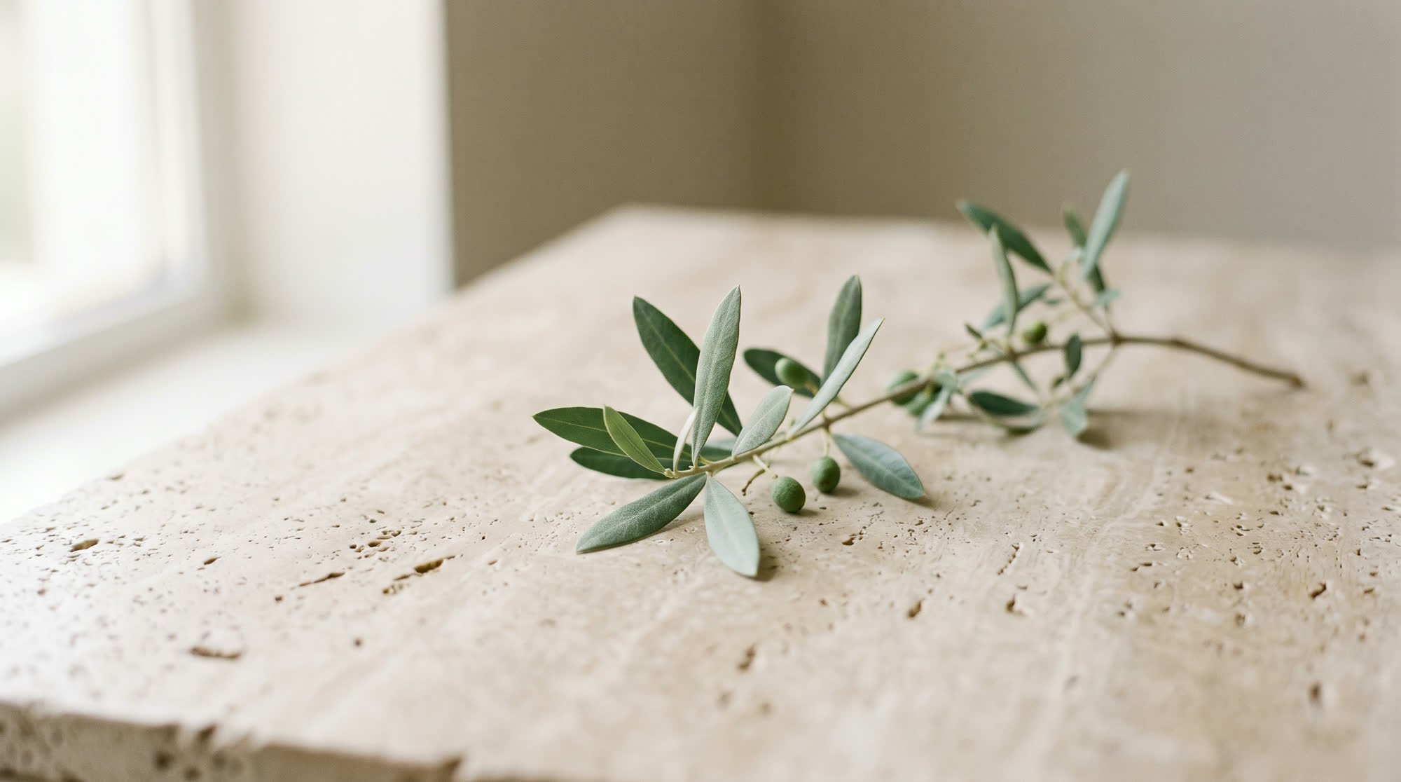 Olive branch on travertine stone